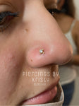Body Piercing Price List *Jewelry NOT Included* To Book Appointment click on BOOK NOW below