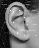 Prong Set Gem Pin End