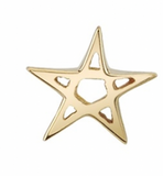 BVLA Pentagram Star Pin End