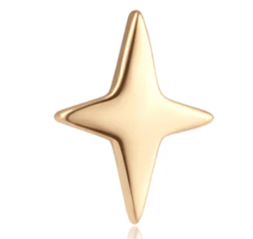 Ember 4 Point Star 14k Gold Pin End