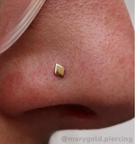 Neo Gold Diamond Pin End