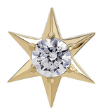 Nstar Gem Titanium Pin End by Anatometal Jewelry