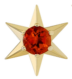 Nstar Gem Titanium Pin End by Anatometal Jewelry