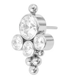 Crucial Cluster Titanium Pin End