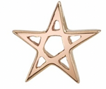 BVLA Pentagram Star Pin End